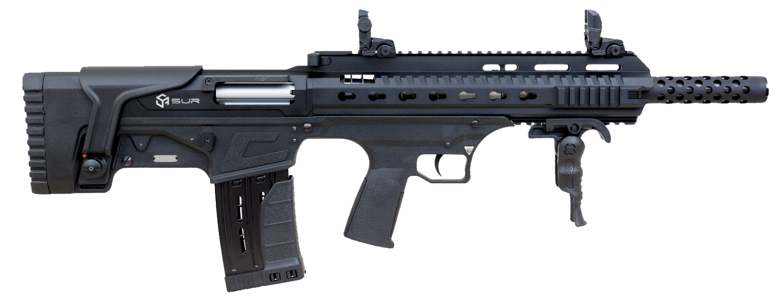 BULLPUP